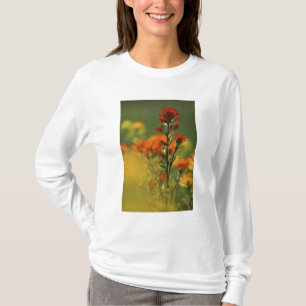 Camiseta EE. UU., Michigan, isla Drummond, llanuras de Maxt