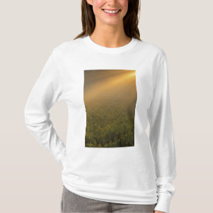 Camiseta EE. UU., Michigan, Pradera de plantas de vara de o