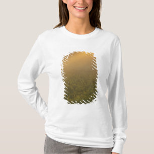 Camiseta EE. UU., Michigan, Pradera de plantas de vara de o