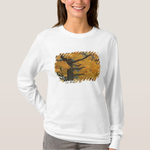 Camiseta EE. UU., Michigan, Primer plano del árbol de arce 