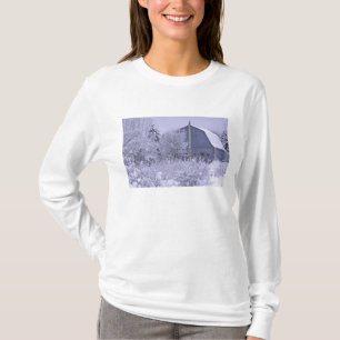 Camiseta EE. UU., Michigan, Rochester Hills. Azul nevado