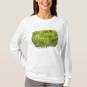 Camiseta EE. UU., Minnesota, costa norte del lago Superior,