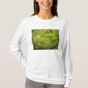 Camiseta EE. UU., Minnesota, costa norte del lago Superior,