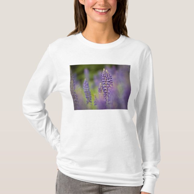 Camiseta EE. UU., Minnesota del noreste, cerca de Silver Ba (Anverso)