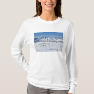 Camiseta EE. UU., MT, Granja cerca de Livingston