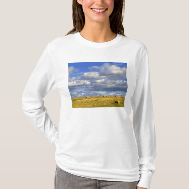 Camiseta EE. UU., Nebraska, condado de Morrill. Heno dorado (Anverso)