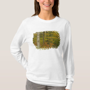 Camiseta EE. UU., New Hampshire, Livermore, Montaña Blanca