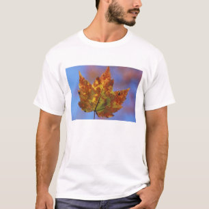 Camiseta EE. UU., New Hampshire, White Mountains, Franconia