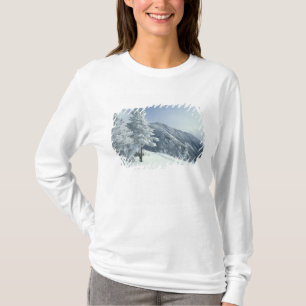 Camiseta EE.UU., NH, árboles cubiertos de nieve recorren e