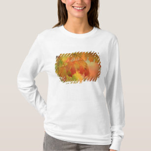 Camiseta EE. UU., Nordeste, Hojas de Arce bajo la Lluvia. C