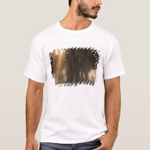 Camiseta EE. UU.; Norteamérica; Georgia; Savannah. Chicos