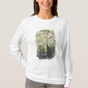 Camiseta EE. UU., Nueva York, Ciudad de Nueva York, Manhatt