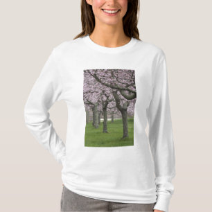 Camiseta EE. UU., Nueva York, East Hampton. Cerezos en