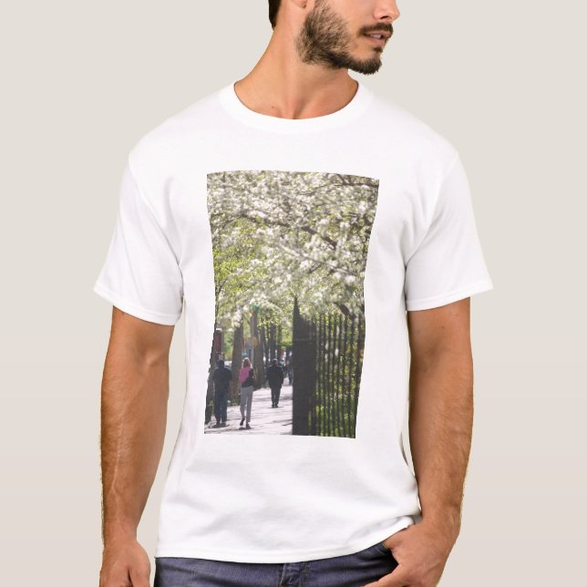 Camiseta EE.UU., Nueva York, Nueva York, Manhattan:8 (Anverso)