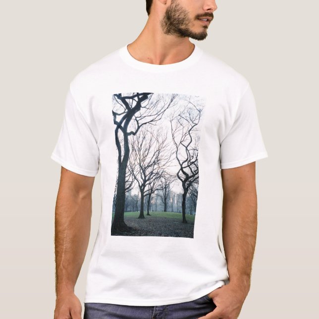 Camiseta EE.UU., Nueva York, Nueva YorkCentral Park (Anverso)