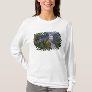 Camiseta EE. UU., Nueva York, Parque Estatal Letchworth. Rí