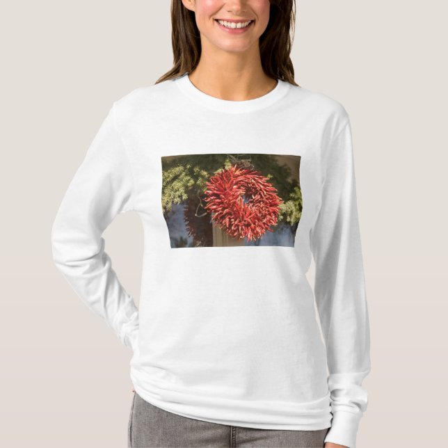 Camiseta EE. UU., Nuevo México, Santa Fe: Centro de Santa F (Anverso)