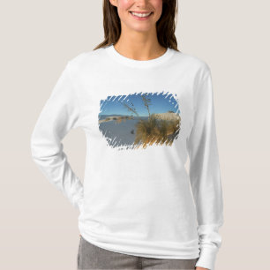 Camiseta EE. UU., Nuevo México, White Sands National 3