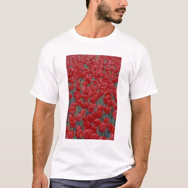 Camiseta EE.UU., Ohio, Cincinnati. Cama de tulipanes rojos (Anverso)