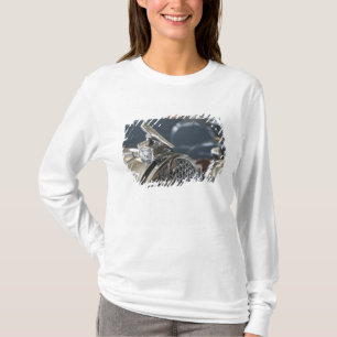 Camiseta EE. UU., Ohio, Dayton: Museo Packard de América