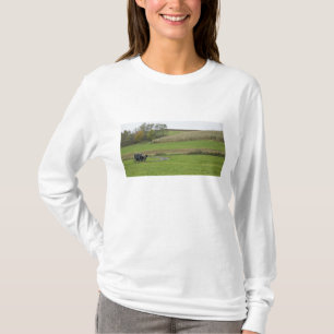 Camiseta EE. UU., Ohio del noreste. Carruaje Amish en granj