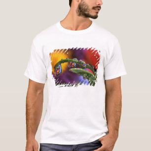 Camiseta EE. UU., Oregón, Acercamiento abstracto de púrpura