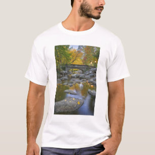 Camiseta EE. UU., Oregón, Ashland, Lithia Park. Otoño