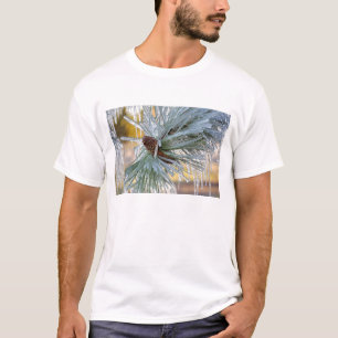 Camiseta EE. UU., Oregón, Bend. Las agujas de pino ponderos