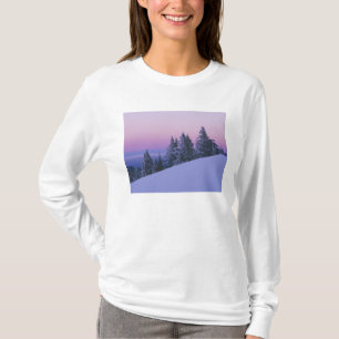 Camiseta EE. UU., Oregón, Bosque Nacional Deschutes, Crepús