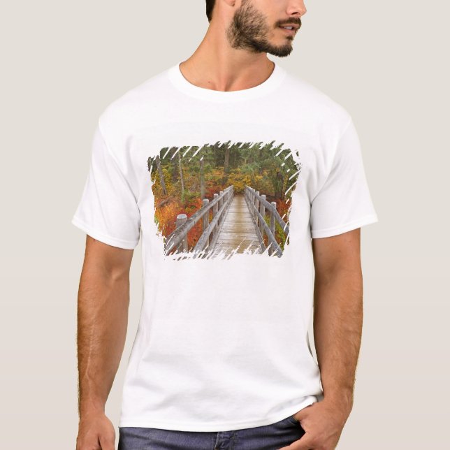 Camiseta EE. UU., Oregón, Bosque Nacional Willamette. (Anverso)