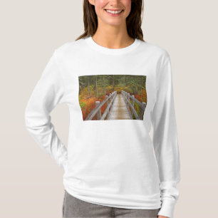 Camiseta EE. UU., Oregón, Bosque Nacional Willamette.