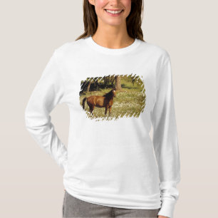 Camiseta EE. UU., Oregón. Caballo en campo de margaritas