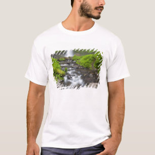 Camiseta EE.UU., Oregón, desfiladero del río Columbia, La