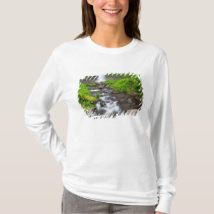 Camiseta EE. UU., Oregón, desfiladero del río Columbia, Lat