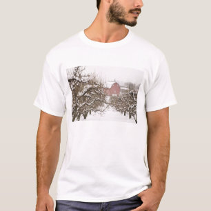 Camiseta EE. UU., Oregón, Hood River. Manzana cubierta de n