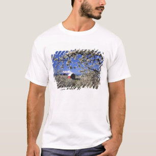Camiseta EE. UU., Oregón, Hood River Valley, huerto de pera