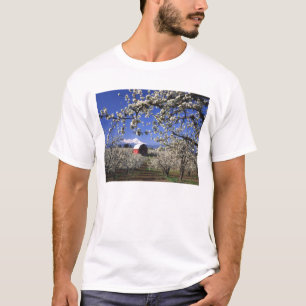 Camiseta EE. UU., Oregón, Hood River Valley, huerto de pera