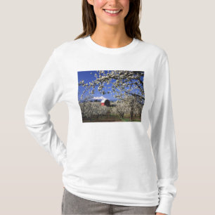 Camiseta EE. UU., Oregón, Hood River Valley, huerto de pera