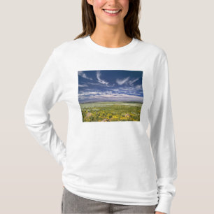 Camiseta EE. UU., Oregón, Monte Steens. La primavera estall