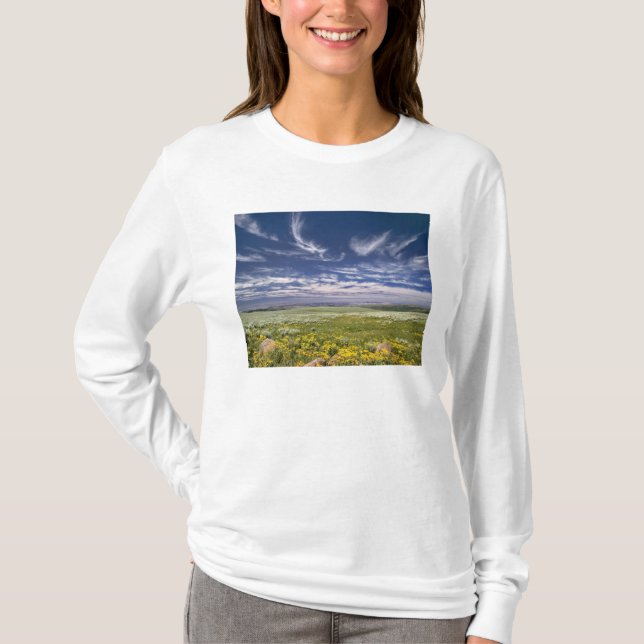Camiseta EE. UU., Oregón, Monte Steens. La primavera estall (Anverso)