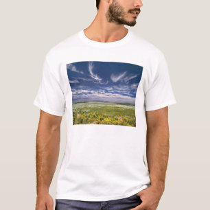 Camiseta EE. UU., Oregón, Monte Steens. La primavera florec