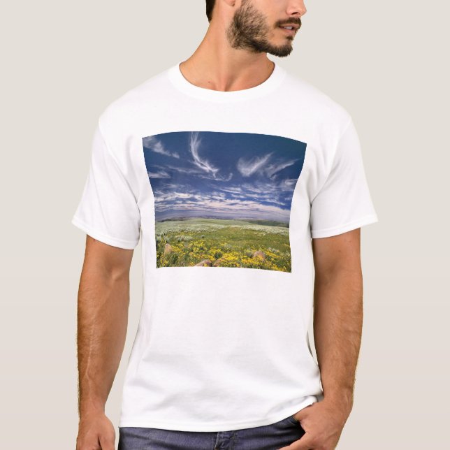 Camiseta EE. UU., Oregón, Monte Steens. La primavera florec (Anverso)
