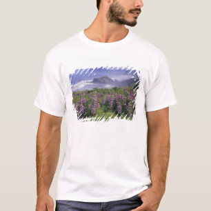 Camiseta EE. UU., Oregón, Nesika Beach. Lupino y Oregón