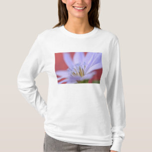 Camiseta EE.UU., Oregón, Portland. Cierre de la achicoria 