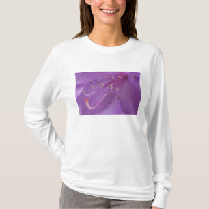 Camiseta EE. UU., Oregón, Portland. Primer plano de una