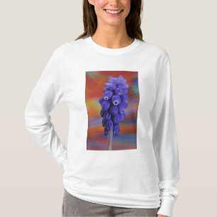 Camiseta EE. UU., Oregón, Portland. Primer plano de uva azu