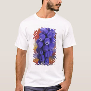 Camiseta EE. UU., Oregón, Portland. Primer plano de uva azu
