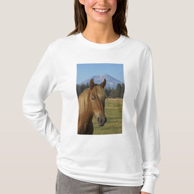 Camiseta EE. UU., Oregón, Sisters, vista de Three Sisters, (Anverso)