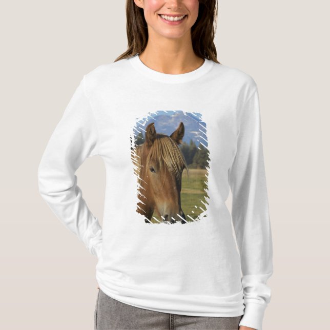 Camiseta EE. UU., Oregón, Sisters, vista de Three Sisters, (Anverso)