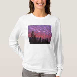Camiseta EE. UU., Oregón, Three Sisters Wilderness, Intenso